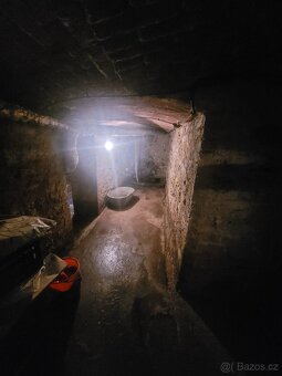 Na prodej rodinný dům Skorotice - Ústí nad Labem - 12