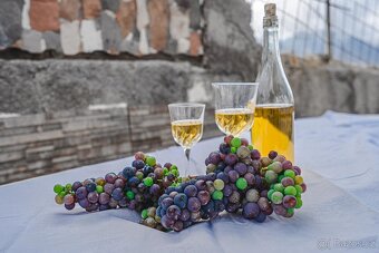 Rustikální farma s vinicí a ovocnými sady na prodej v Guía d - 12