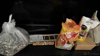 Korela Chocholatá Sameček a Samička - 12