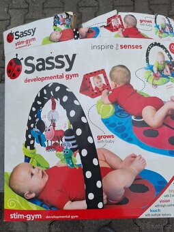 Kočárek Baby Merc - 12