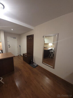 Pronájem bytu 2+kk, U Borského parku 2887/27, 52 m2 - 12