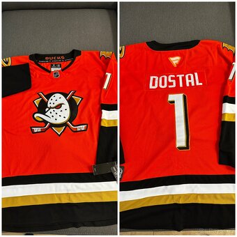 NHL dresy - 12