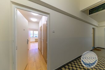 Pronájem bytu 1+kk 25 m² - 12