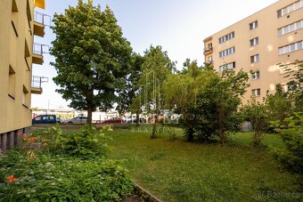 U městských domů 181/5, Praha 7, ev.č. 00309 - 12