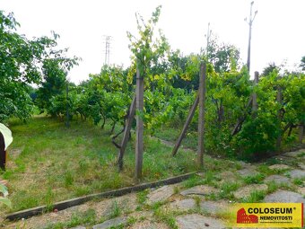 Suchohrdly, chata 1+kk, 30 m2, zahrada, udírna – chata - 12