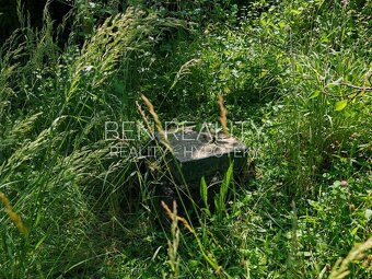 Exklusivní prodej - 2 chaty - stavební pozemek - Štákovy pas - 12