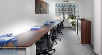 Pronájem kancelářských prostor (16 m2) - Bredovský dvůr, Oli - 12