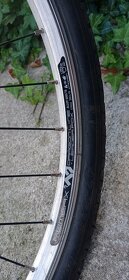 Kolo Leader Fox - 12