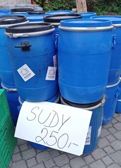 Sudy/IBC - 12