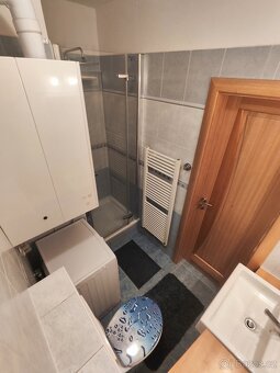Mezonetový byt 3kk s terasou - Přeštice - 12