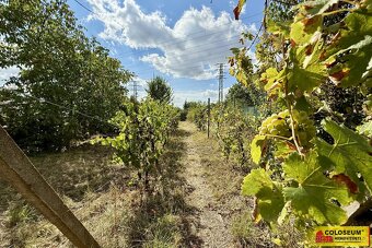 Suchohrdly, chata 1+kk, 30 m2, zahrada, udírna – chata - 12