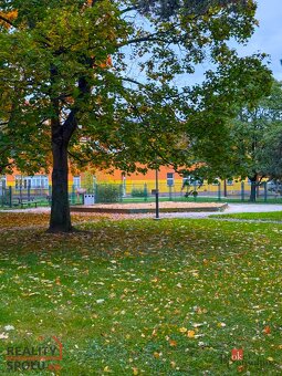 Převod dr. podílu, byty/2+1, 43.52 m2, Engelmüllerova 3032/8 - 12