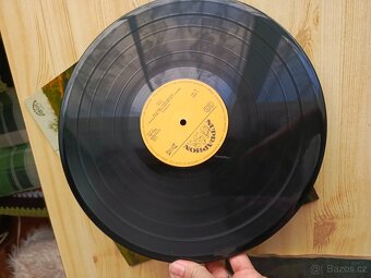 Vinyl starší lp - 12