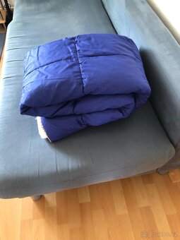 Dám za odvoz či symbolickou cenu - 12