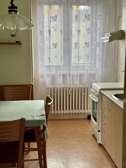 3+1  Opava- klidná ulice, 300m od centra, parkování ve dvoře - 12