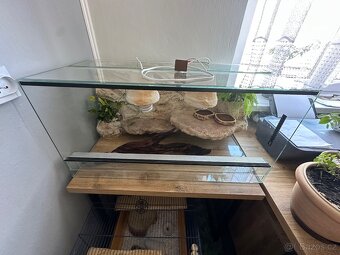 Terárium pro agamu - 12