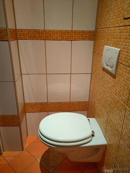 Pronájem bytu 1+kk 24 m² ul.K. Světle Havířov-Podlesí, byt 1 - 12