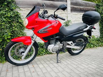 Suzuki XF 650 Freewind r.v.2000 35kW - 12
