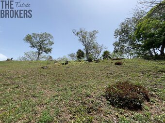 LOT 6 Bodden Bight Estate, Roatan - 12