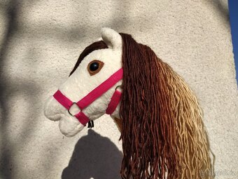 Hobby horse - 12