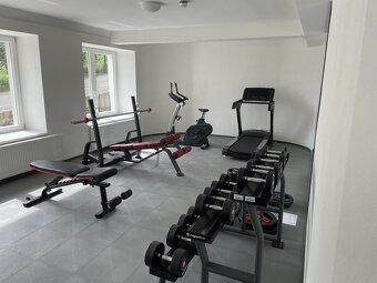 krásný byt 2+KK, 45m2 v ul. Perucká, Praha 2 - Vinohrady - 12