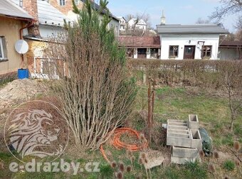 Rodinný dům se zahradou, obec Krnov, okr. Bruntál - 12