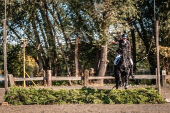Klisna pony 147khv na rekreaci i sport - 12