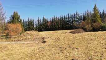 Prodej stavebního pozemku 4420 m² Vápenný Podol-Nerozhovice - 12