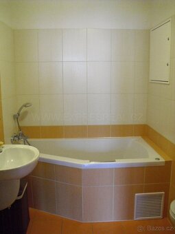 1+kk Brno-Bohunice, ul. Čeňka Růžičky, S TERASOU - 12