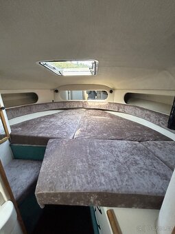 Motorova jachta Sea ray 290 Sundancer - 12