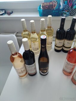 Přebytky alkoholu - 12