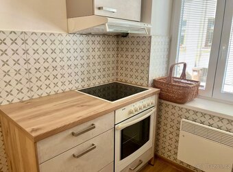 Pronájem bytu České Budějovice 1+1 40 m² centrum - 12