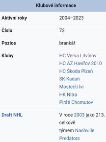 ORIGINÁLNÍ HRANÁ HOKEJKA - brankář MIROSLAV HANULJAKA. - 12