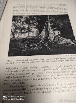 Časopisy Rostlinopis 12 ks - 12