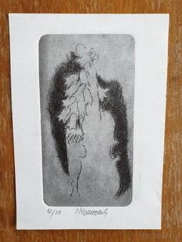 Prodám Starožitnosti obrazy,mapy,pohledy - 12