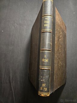 České ovoce  Jan Říha - 12