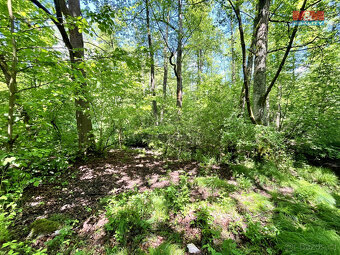 Prodej vodní plochy, 3255 m², Skalice u České Lípy - 12