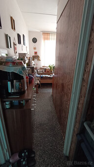 Útulný byt 2+1 (68 m²) s parkovacími místy a zahradou - 12