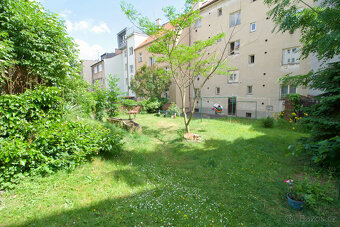 Pronájem, byt 2+1, 60 m², Plzeň, ul. Tělocvičná - 12