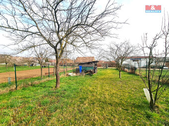 Prodej ovocného sadu, 4096 m², Starý Poddvorov - 12
