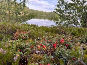 Chata se saunou ve Finsku - klid, relax a rybolov - 12