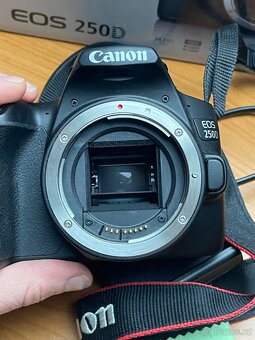 Canon 250D - 12
