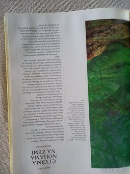 Dějiny planety země - 12