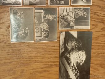 Staré pohlednice 1800ks - 12