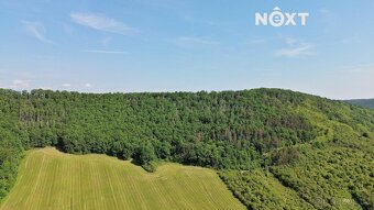 Prodej pozemek Lesy, 3149㎡ - 12