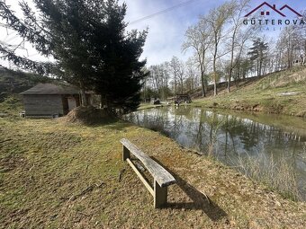 Prodej pozemků se dvěma rybníky, 15 233 m2 - Hradec u Stoda - 12