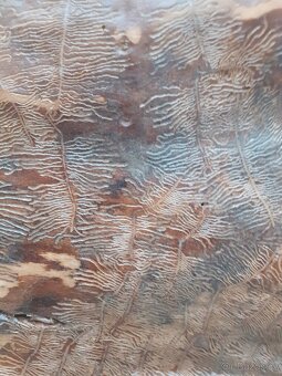 Věšák na oblečení - 12