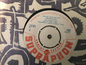 LP Gramofonové desky 55 Ks Mix  - (i po kuse) (Sada 01) - 12