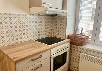 Pronájem 1+1 Štítného, České Budějovice - 12
