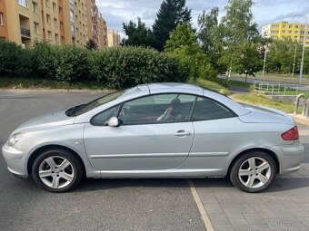 Peugeot 307 cc 2.0i 100 kW - 12